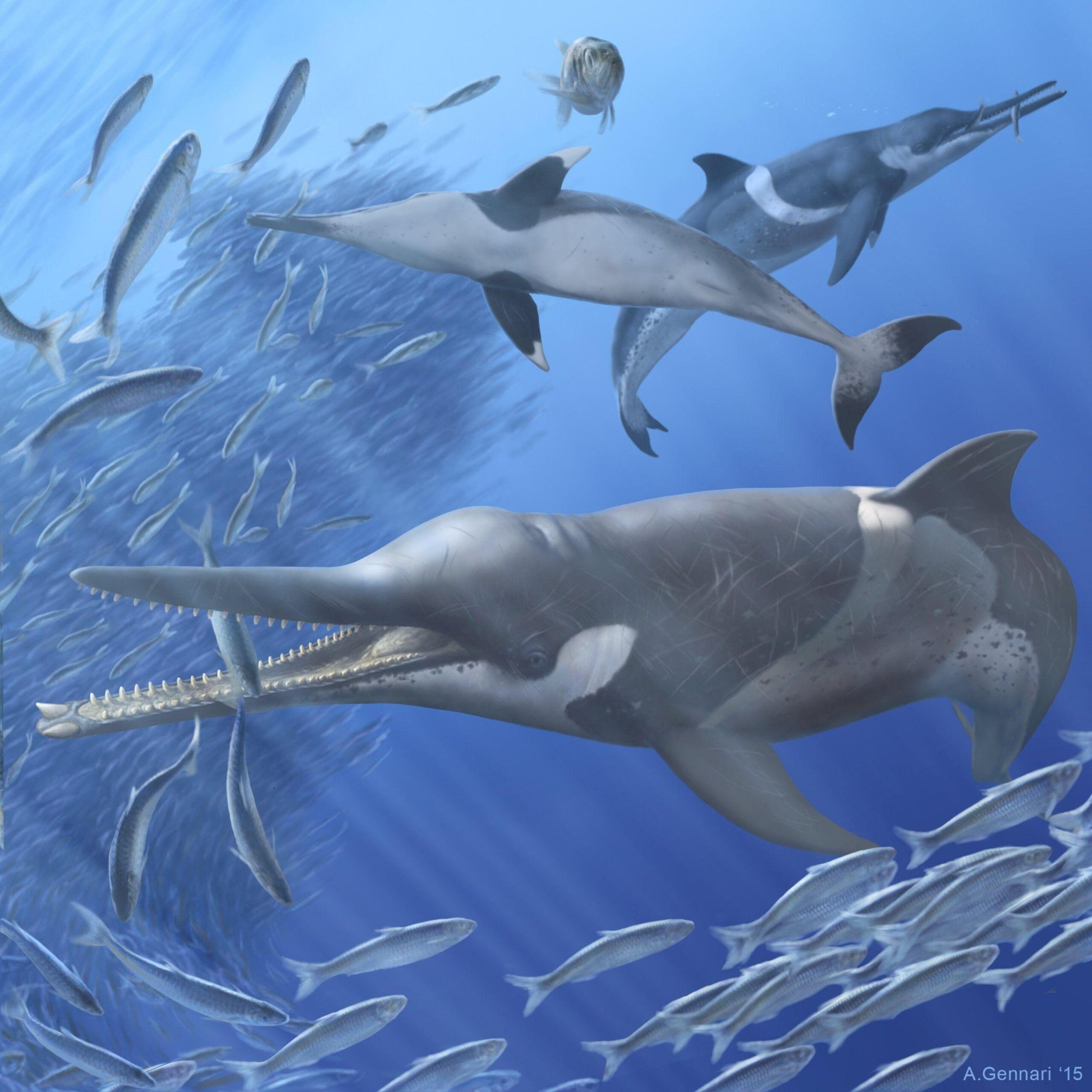 This prehistoric whale had razor teeth and bulging eyes