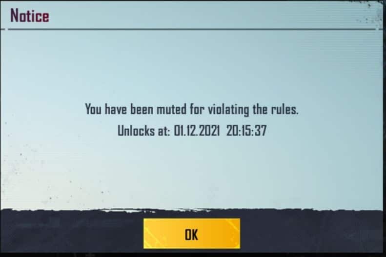 Why are you muted for violating the rules on PUBG mobile?