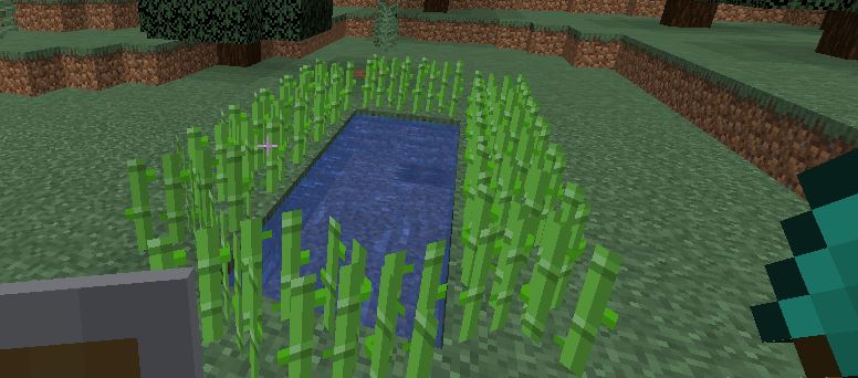 How to make a sugarcane farm in Minecraft? 