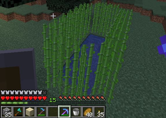sugarcane farm in Minecraft