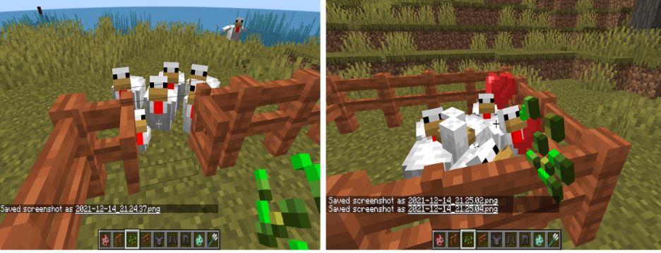 First step to build chicken farm in Minecraft