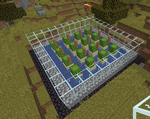 How to build a Cactus farm in Minecraft?