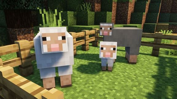 Minecraft Automatic Wool Farm:
