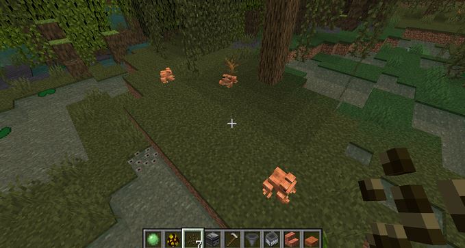 Minecraft Frog: All About this Amphibian Mob