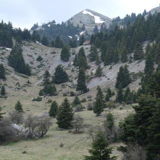 Unveiling the Majestic Beauty​ of the ​Pyrenees