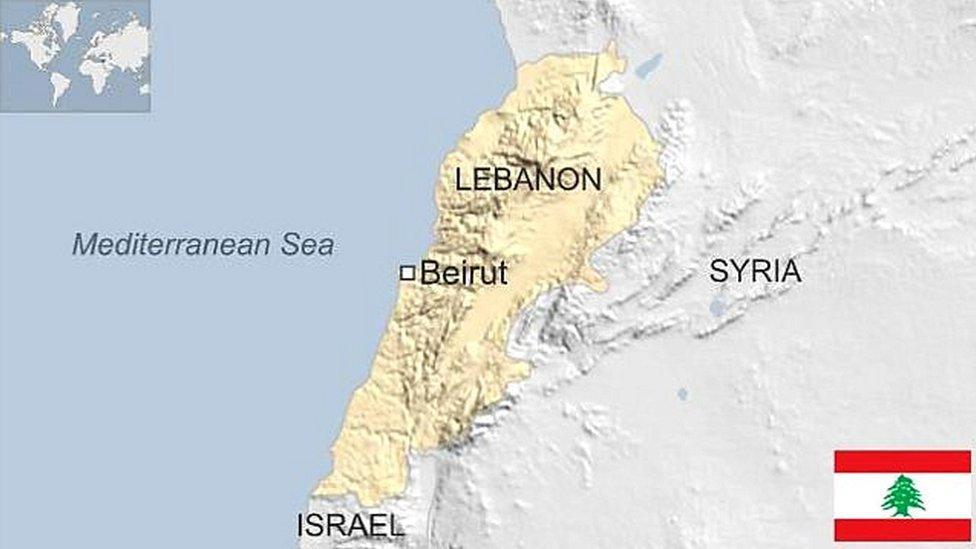 Political​ Ramifications for the Shiite Population in a ‌Fragmented Lebanon