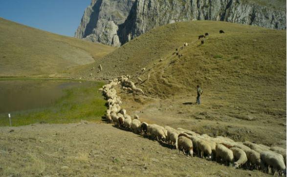 From the Peloponnese to ⁣the Pyrenees: readers’ favourite long-distance walks⁣ in Europe