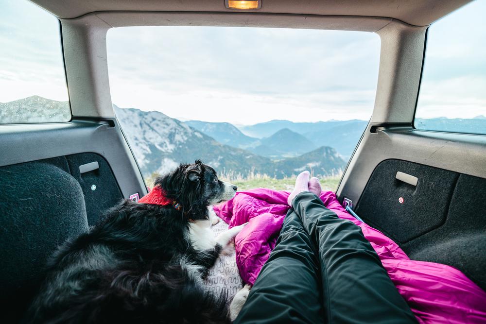 Capturing Unforgettable Moments: The Joy of Traveling with Your Dog