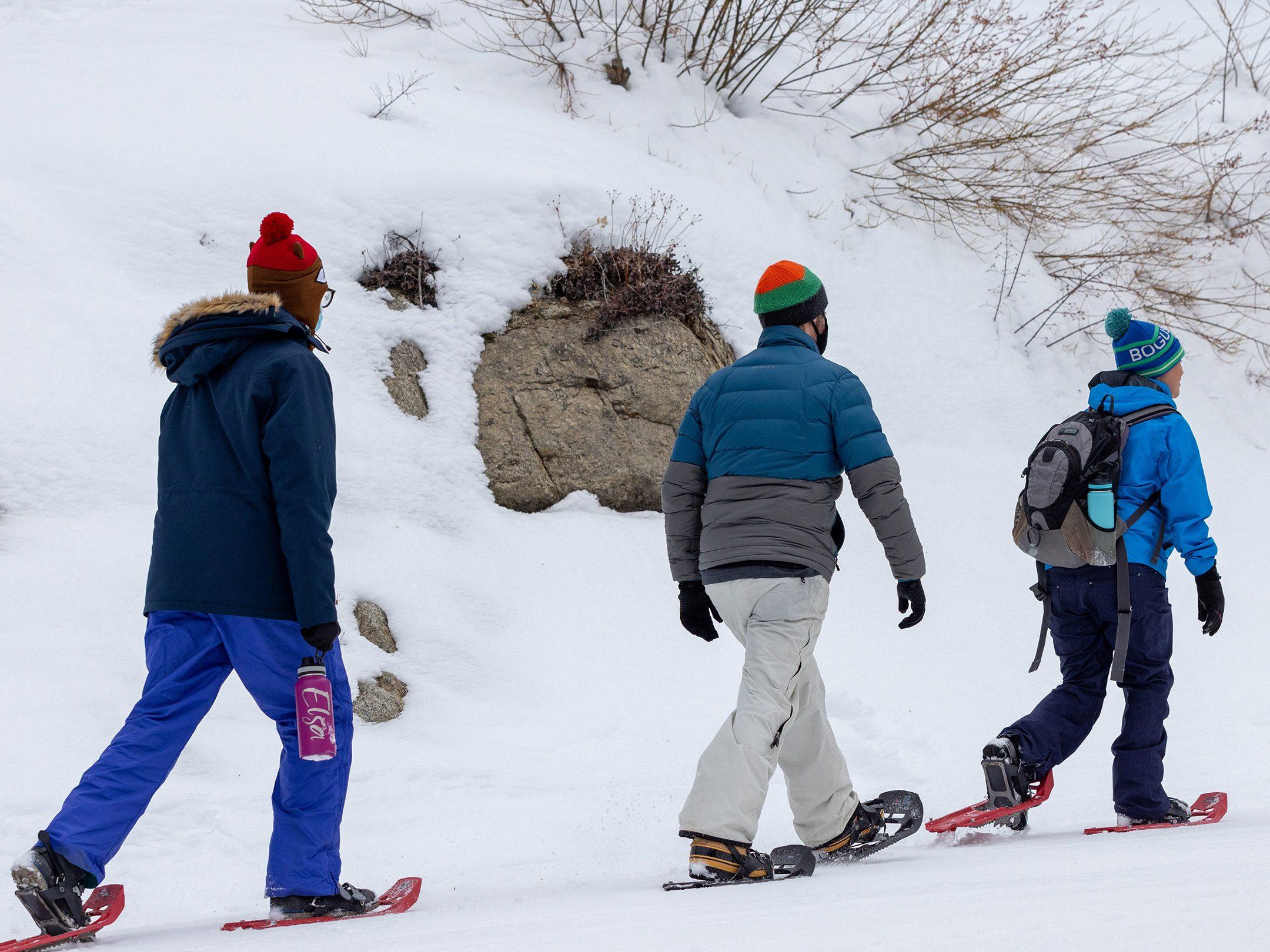 Rescue Monks: Guardians of the Alpine Retreat