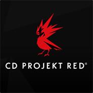 Industry Perspectives: What the Delay Means for Future CD Projekt Releases