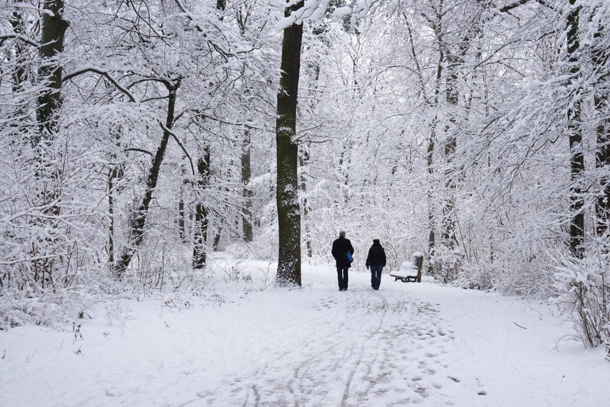 Mystical Forests and Snow-Capped Peaks: The Allure of the Lake district in Winter