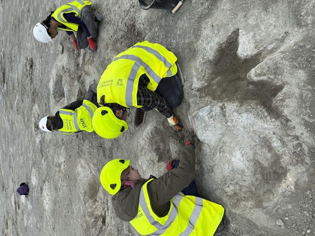 Understanding the Significance of Dinosaur Highway Tracks