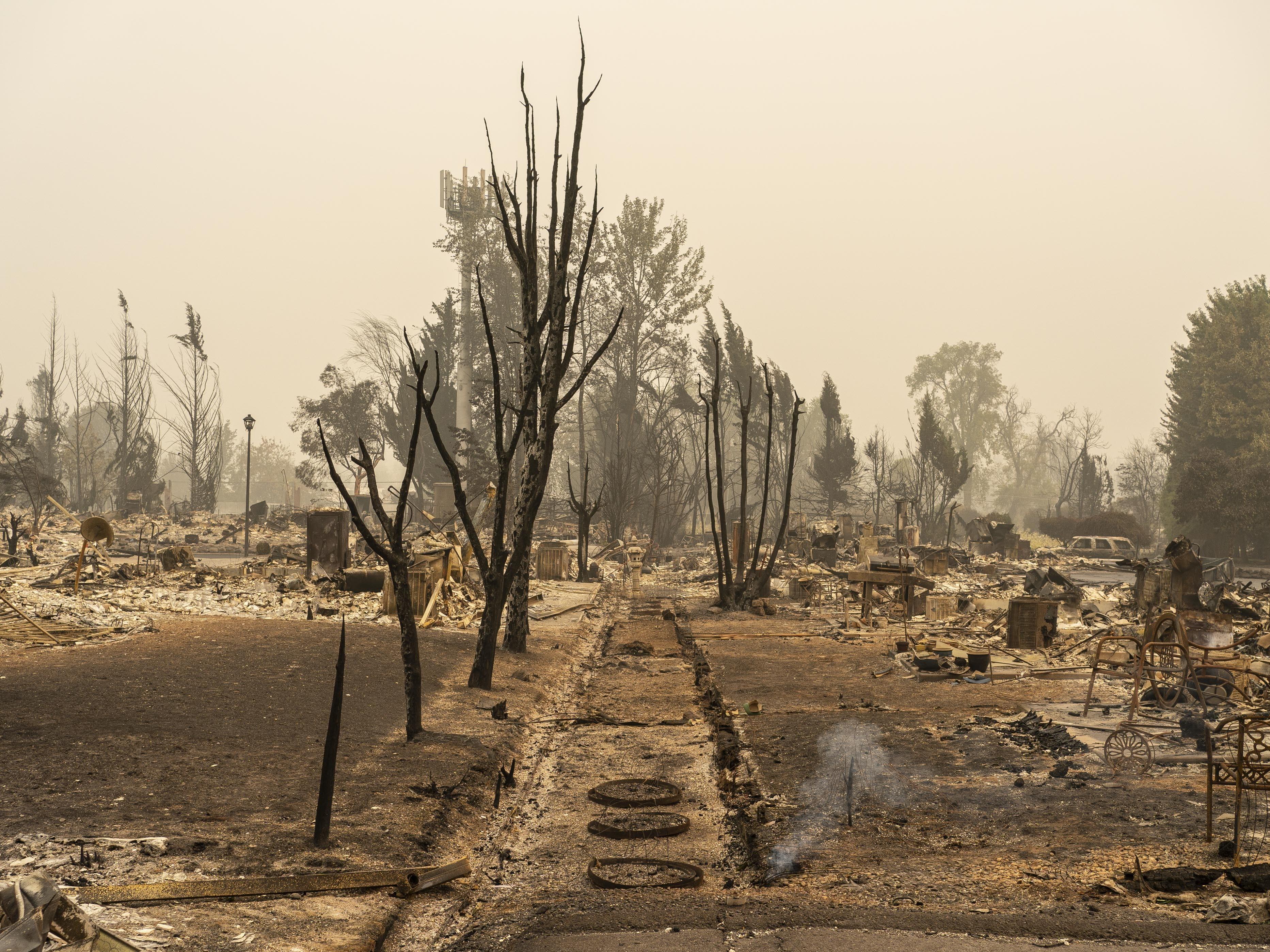 Understanding the Impact: Ecological and Economic consequences of the Fires