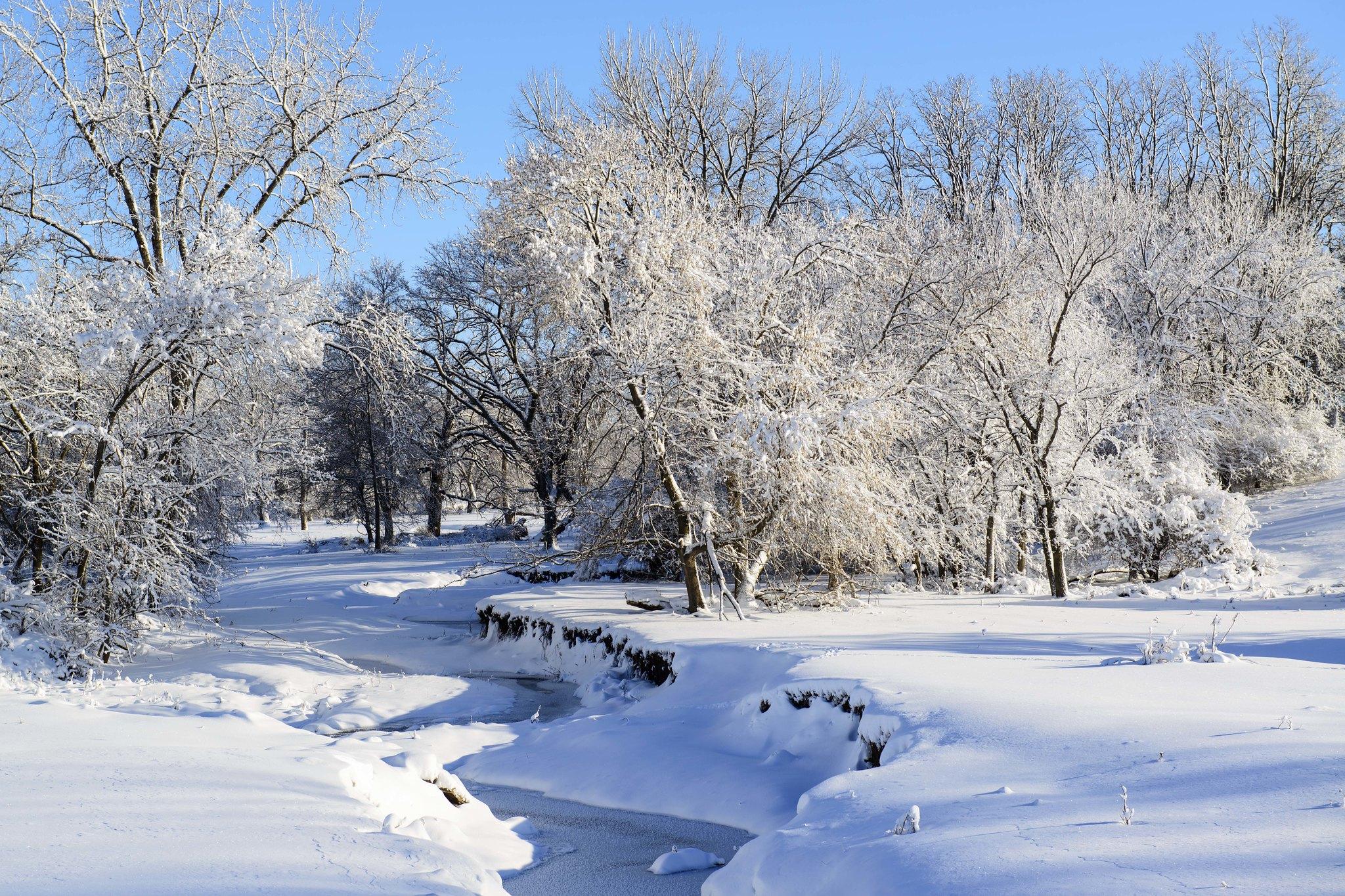 Community Response: ‌How Local Services Are Addressing Severe Weather Challenges