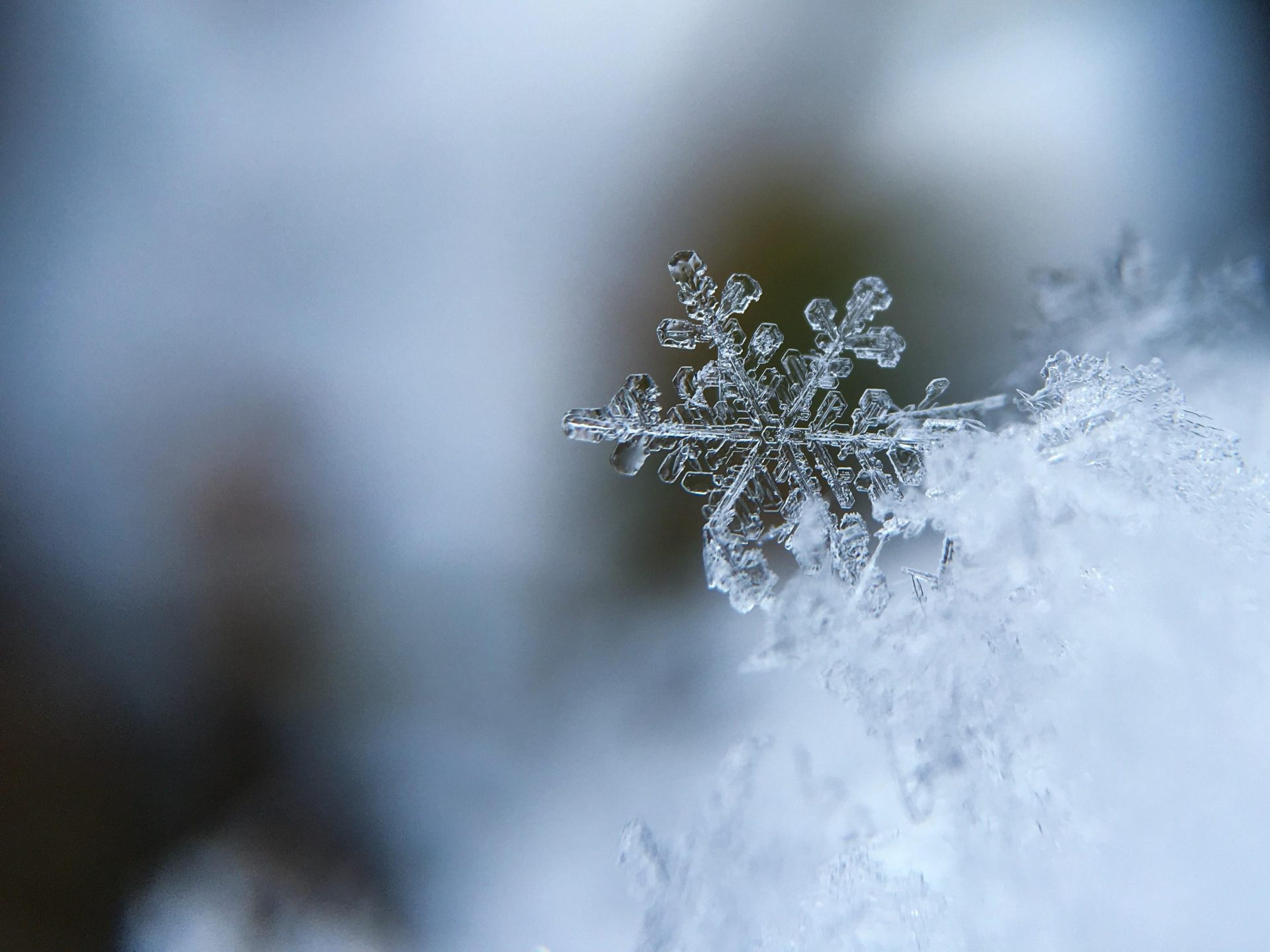 Watch: Snow blankets parts of US as cold snap takes hold