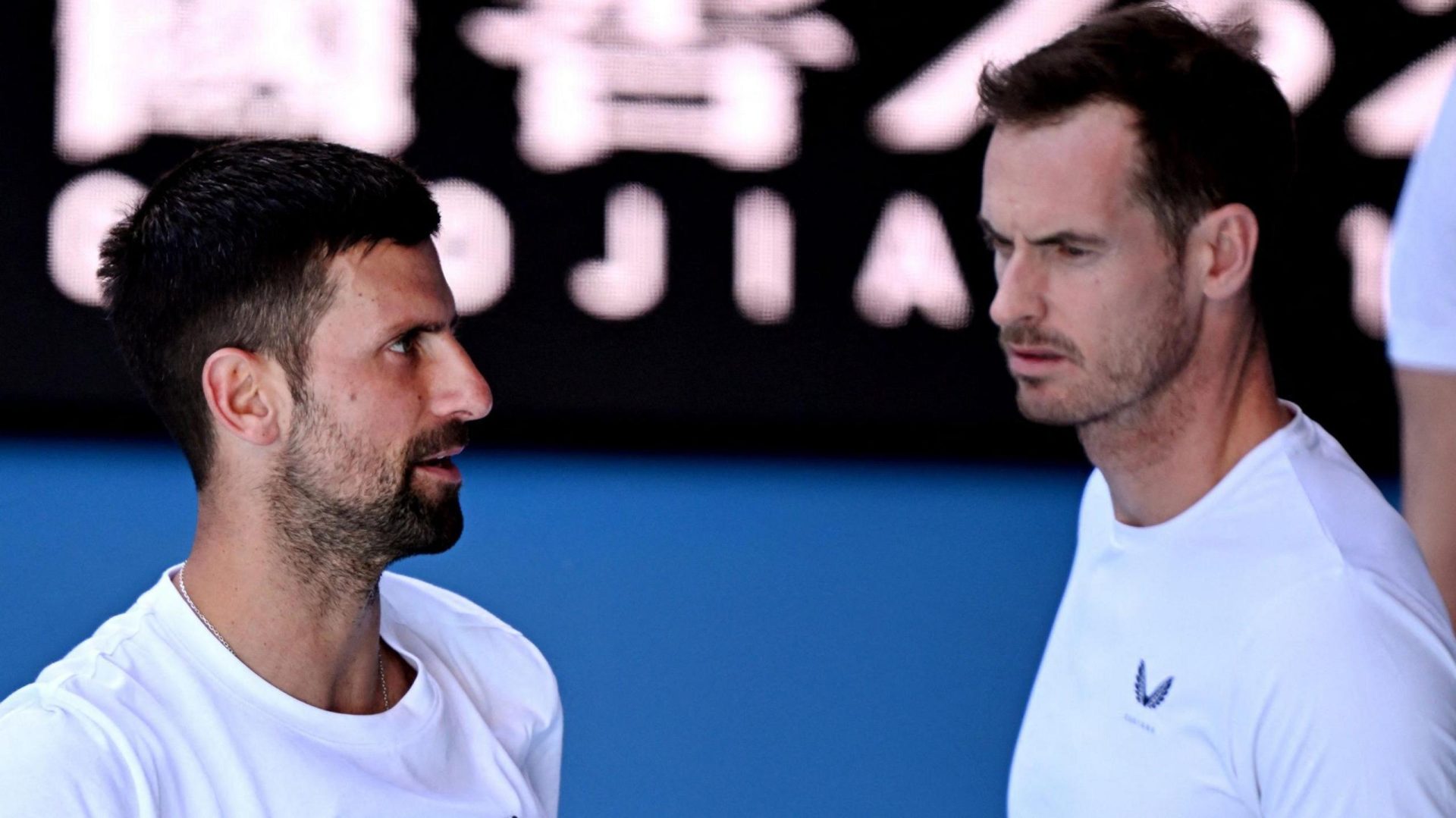 Djokovic, Alcaraz on path to Aussie quarters clash