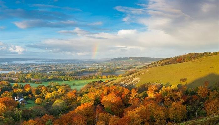 Outdoor Adventures: Hiking, Cycling, and Wildlife Spotting