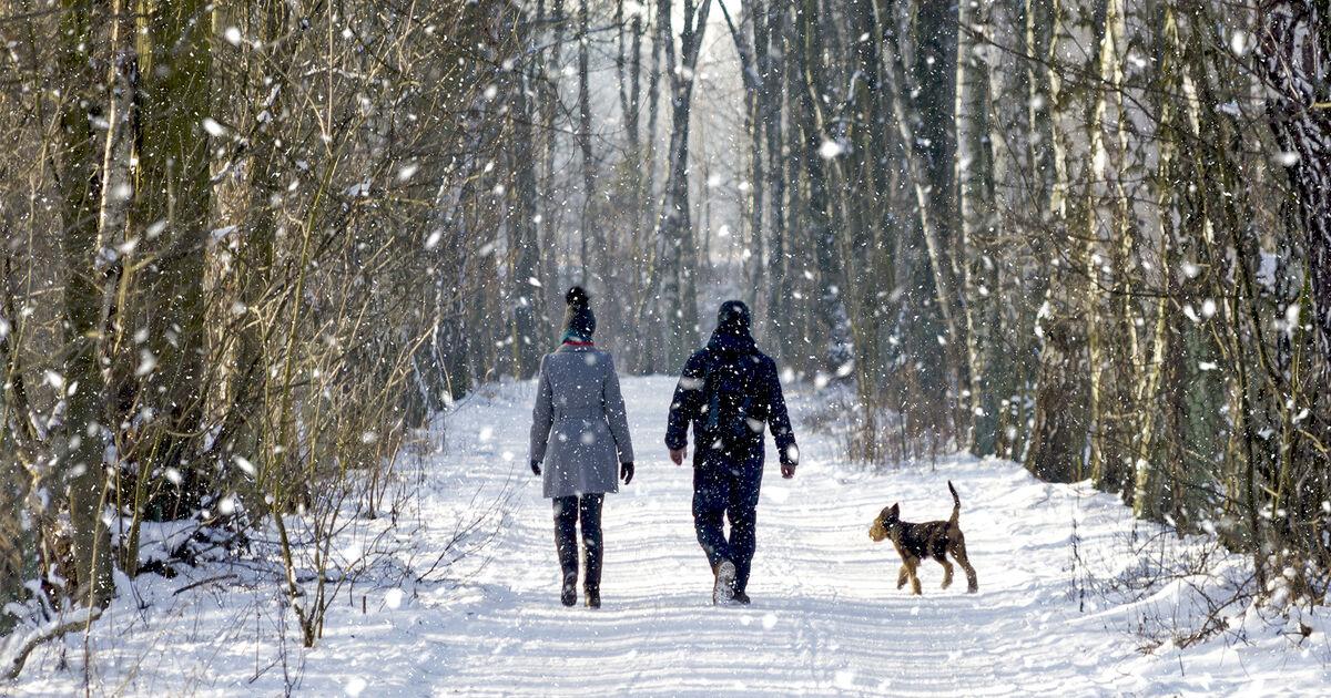 Practical Tips for Enjoying Winter Walks: Gear, Safety, and route Planning Essentials