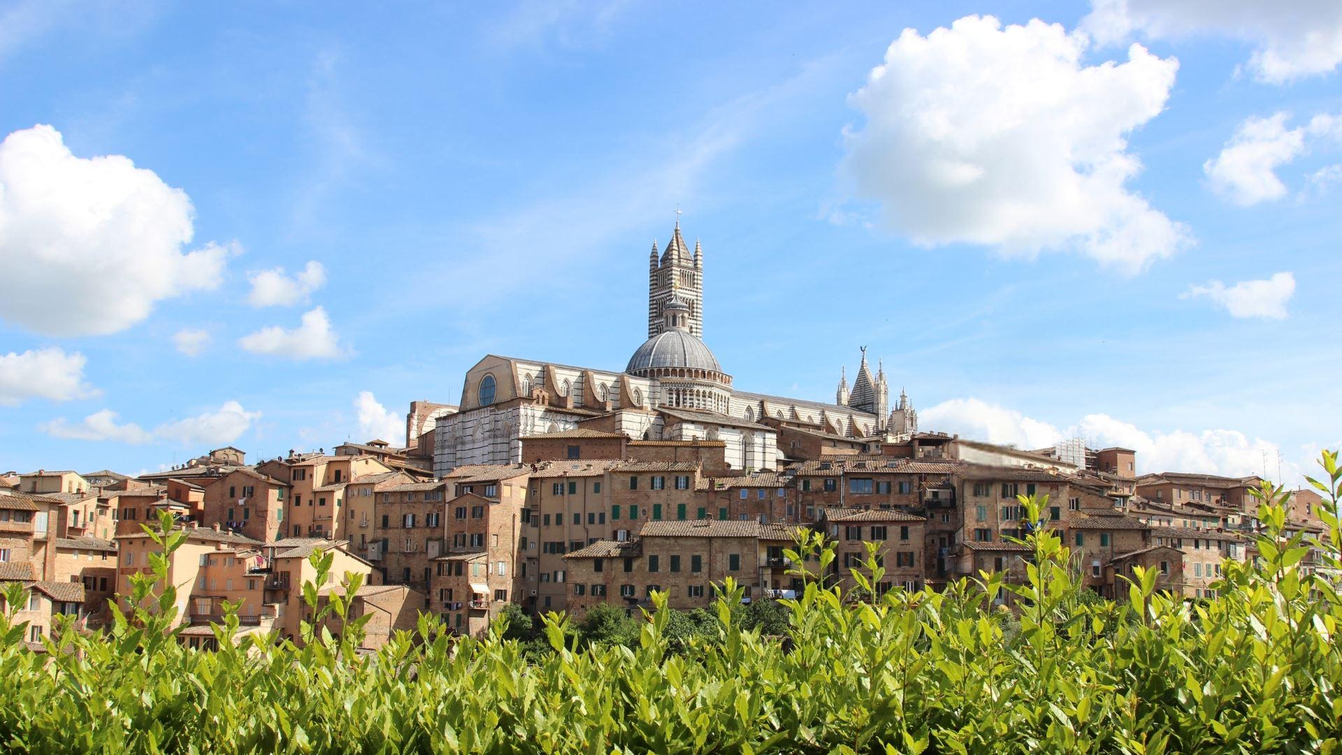 A Stroll Through Siena's Historic Centre