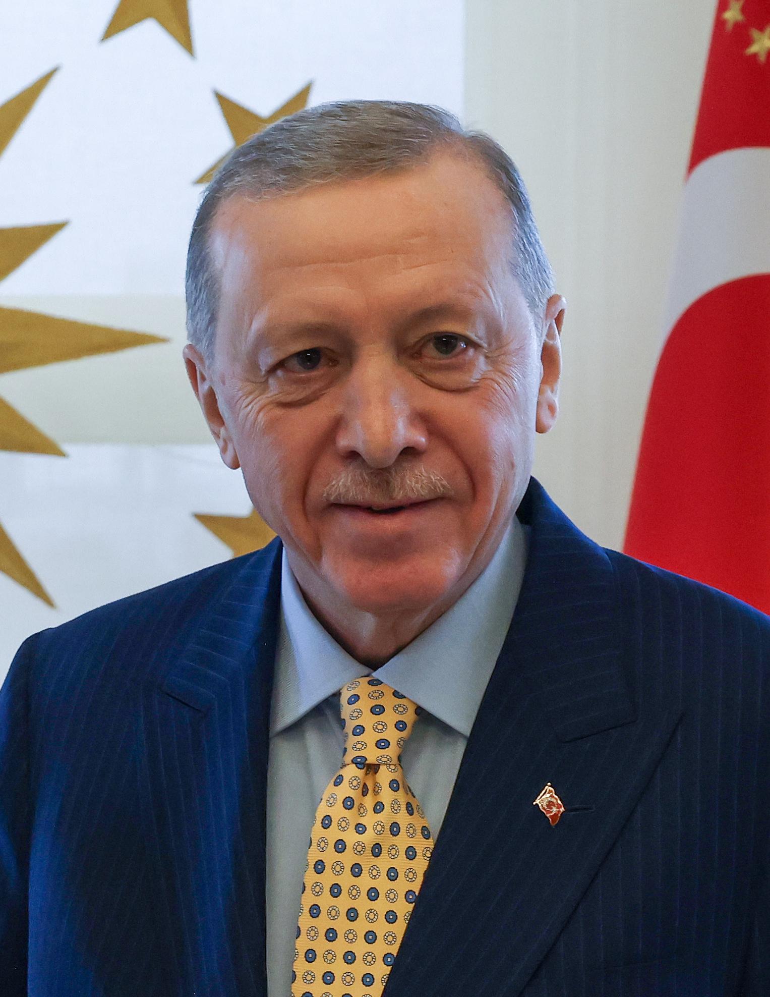 Humanitarian Concerns: Erdogan's Call for International Response to the Gaza Crisis