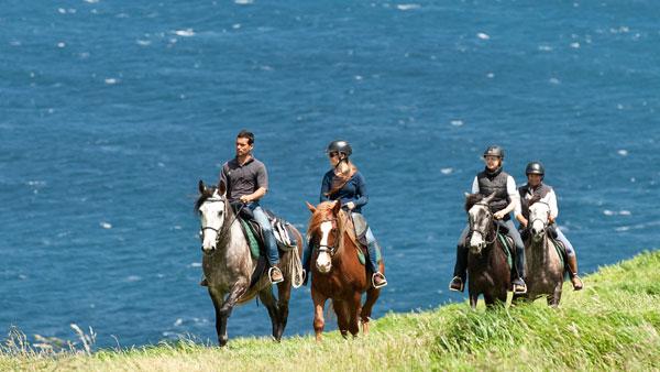 Cultural insights and local Riding Styles Across the Continent