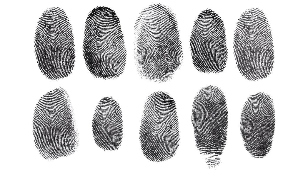 The Role of Forensic​ Technology in Uncovering Lost Identities