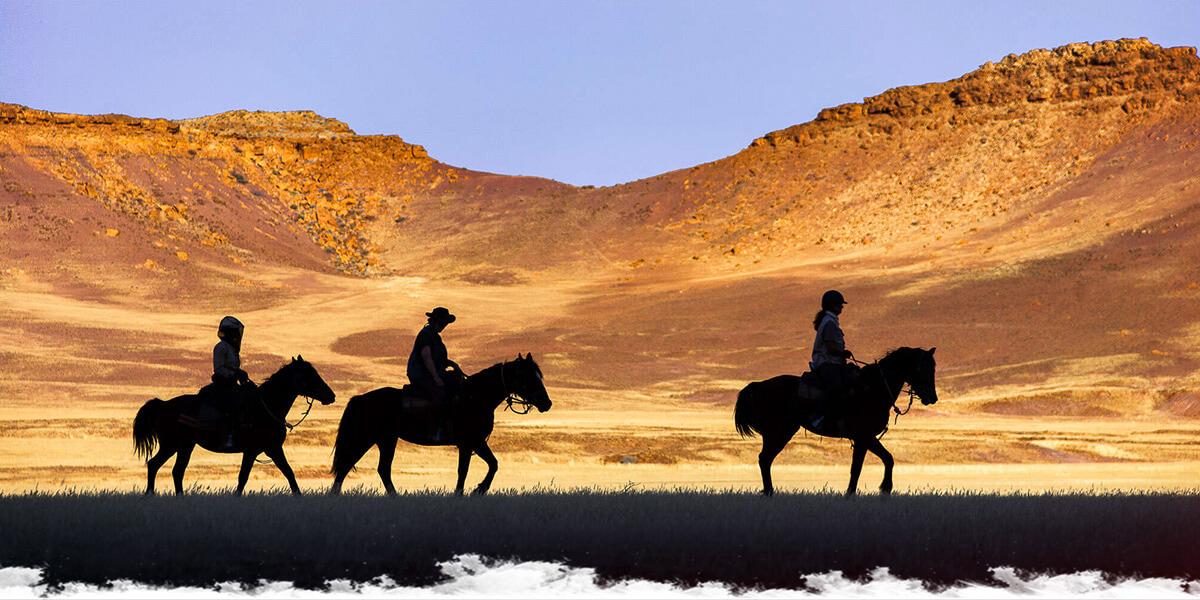 Essential Tips for Aspiring Equestrian Adventurers