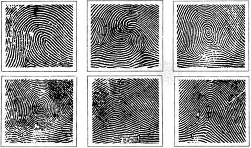 Legal and ‌Ethical Implications of Post-Mortem ‌Identification