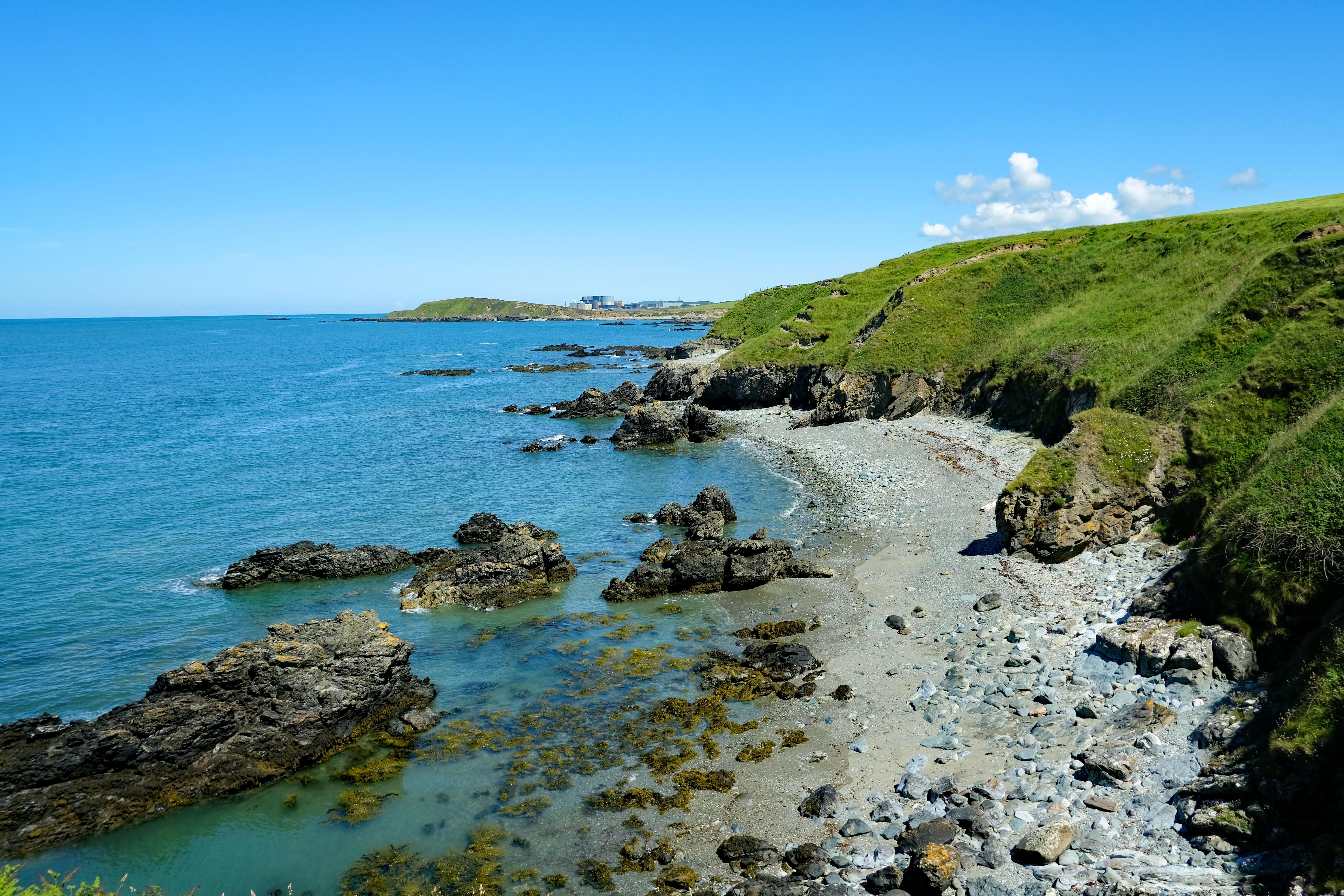 Culinary Delights: Sampling Anglesey's Local Flavors
