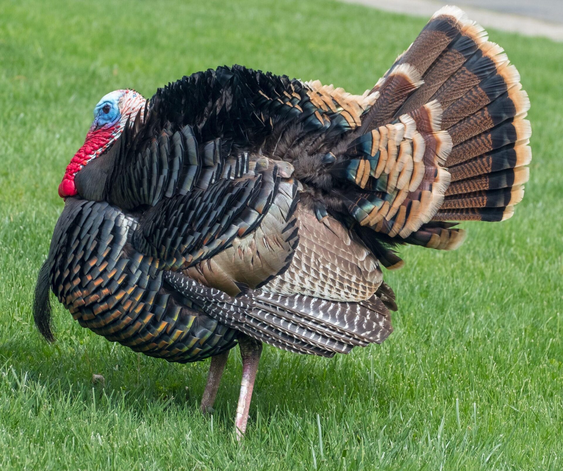 Tell us about Turkey off the tourist trail – you could win a holiday voucher