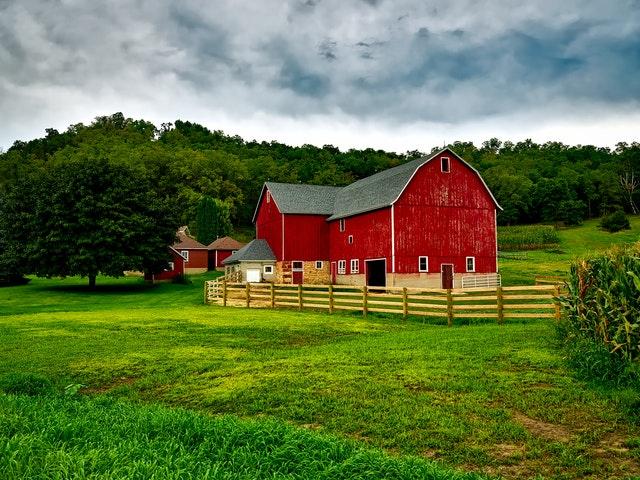 Activities and Attractions: making the Most of Your Farm Stay