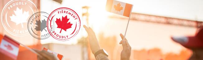 Implications for Canadian Businesses in a Global Digital Economy