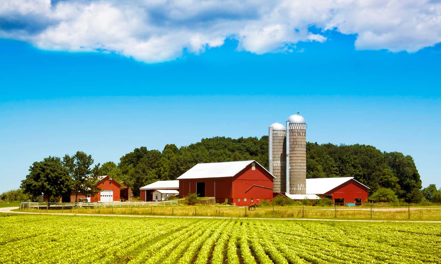 Culinary Delights: Savoring Local Produce and Farm-Fresh Cuisine