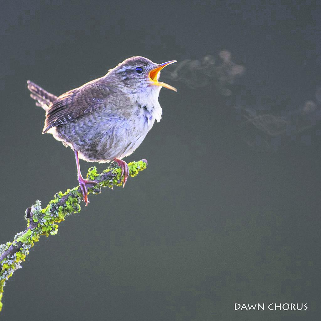 The Lasting Impact of Nature on Mental Well-being