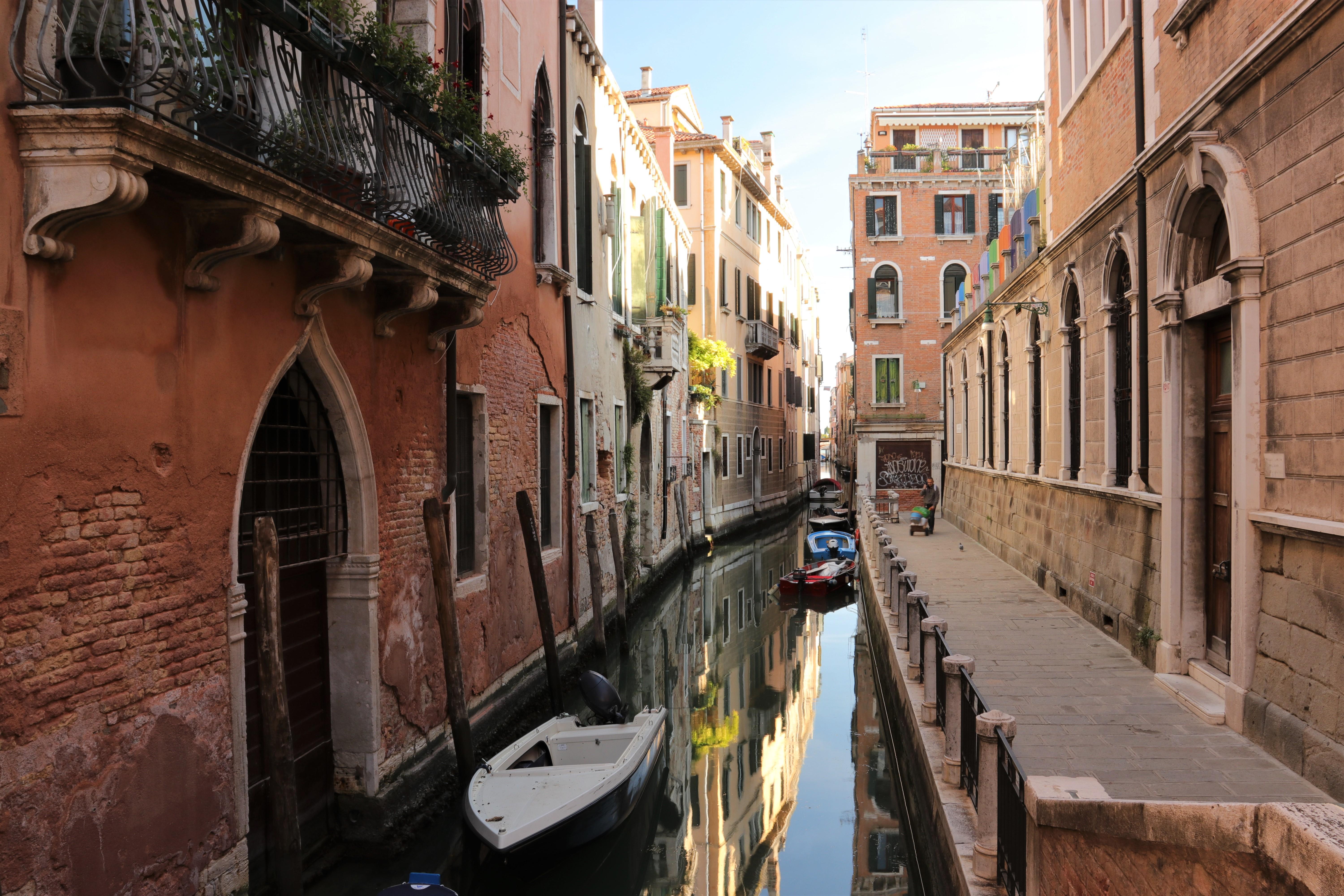 Fashion Highlights: What the A-List Wore on the Red Carpet in Venice