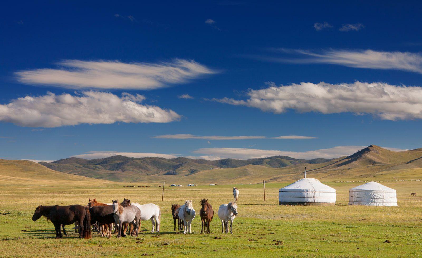 Potential Paths Forward: Fostering Stability Amidst Unease