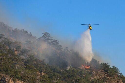 Long-term Strategies for wildfire Preparedness and Environmental Recovery‌ on Crete