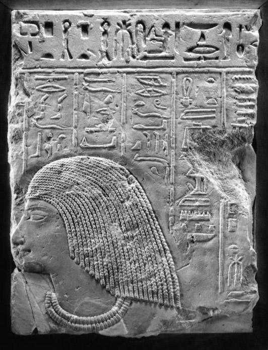 Nature's Palette: Exploring Sussex's Scenic Backdrops for Inspiration