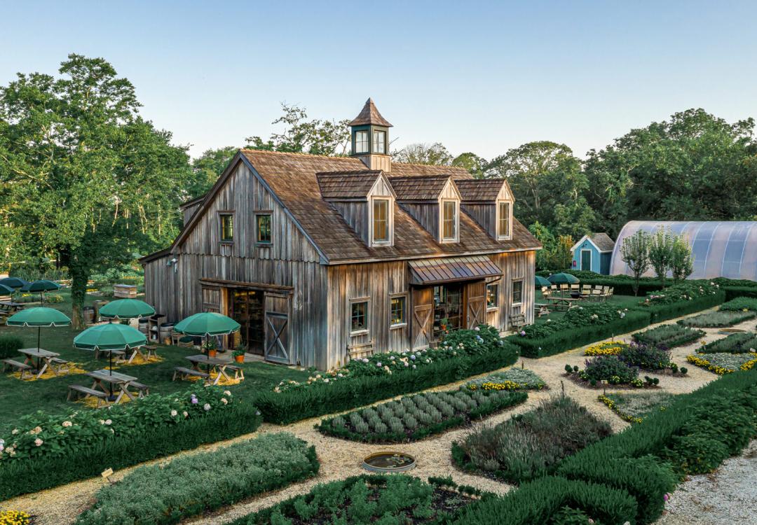 Share Your Experiences: How to Enter the Contest for a Holiday Voucher