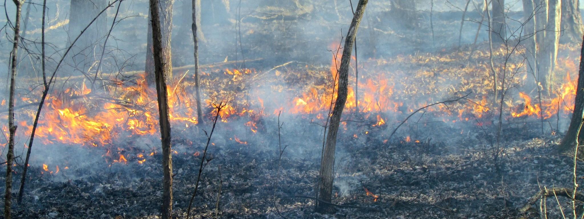 Emergency Response Measures and Community Resilience Strategies
