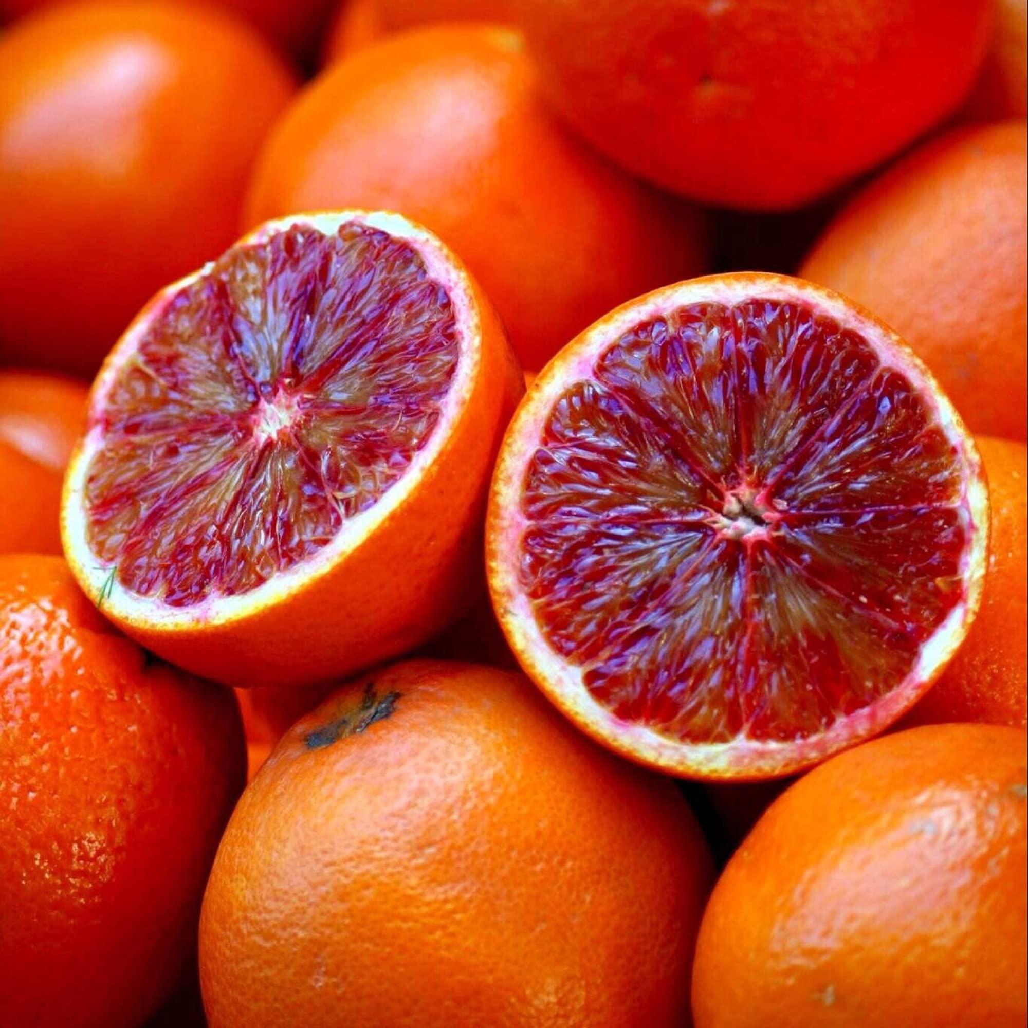 What to Expect from the Setlist and Production Design on Tour