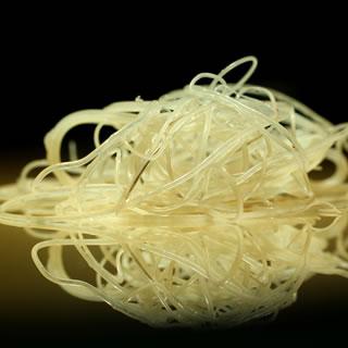 Practical Steps for Residents to Protect Their Pets from Heartworm Infections