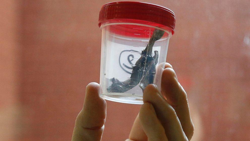 The Science Behind Magnetic Therapies and Their Life-Saving Potential