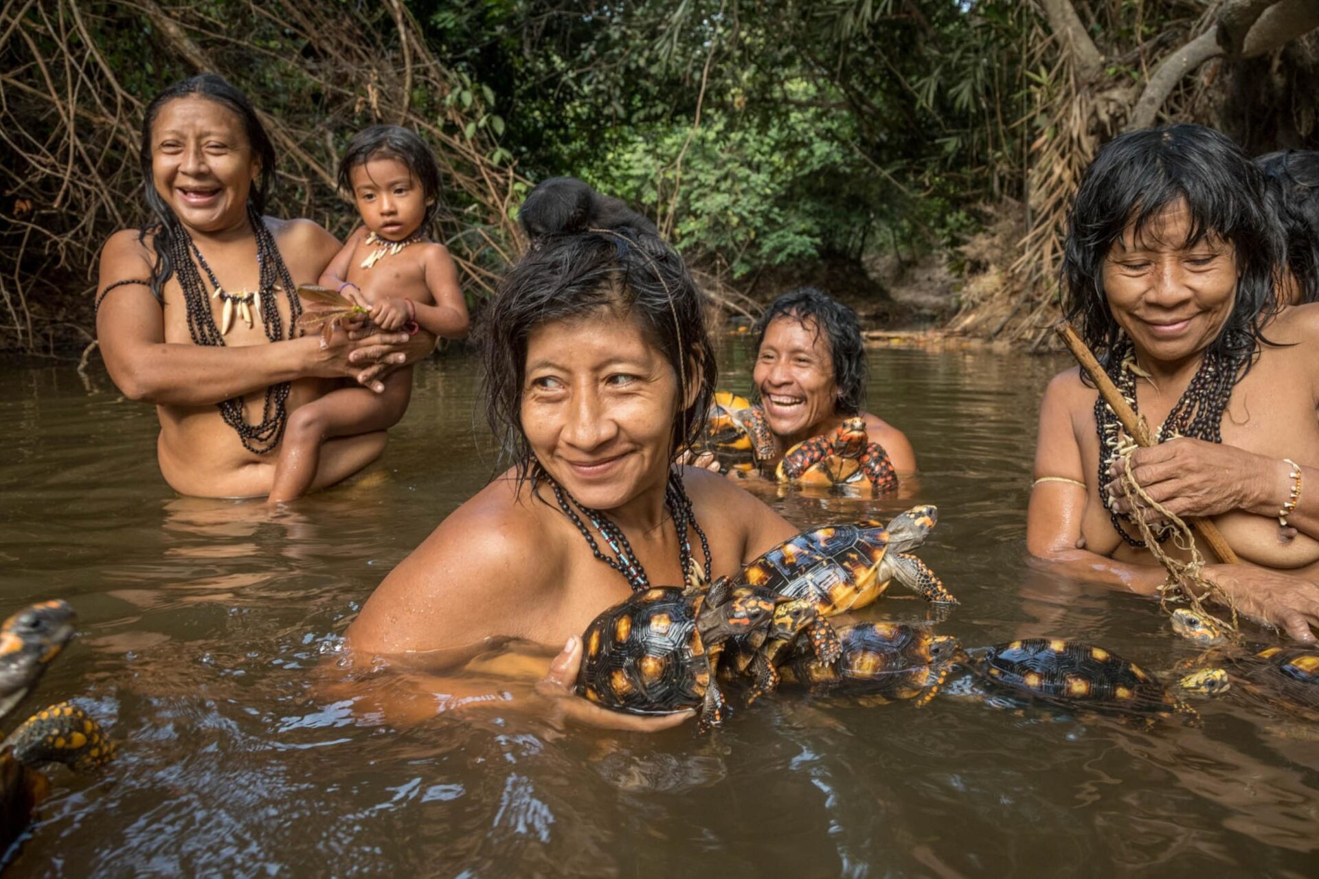 Isolated Amazon tribe seen near logging bridge site, alarming rights group