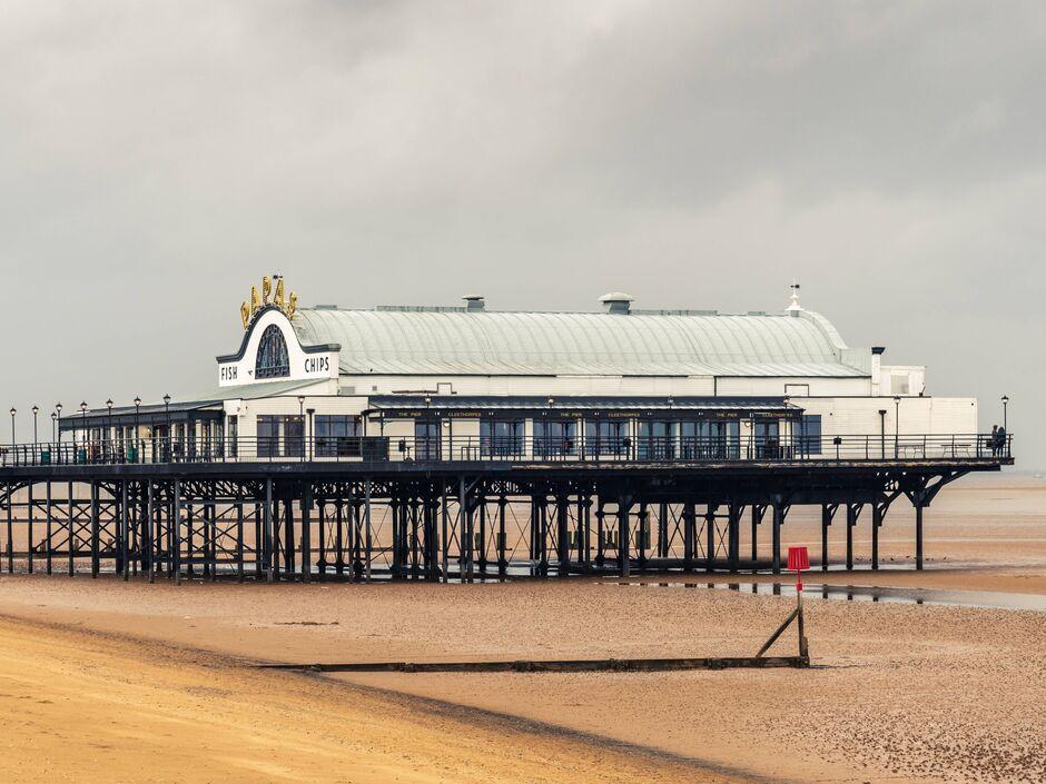 Culinary growth: Promoting Local Businesses and Food Experiences