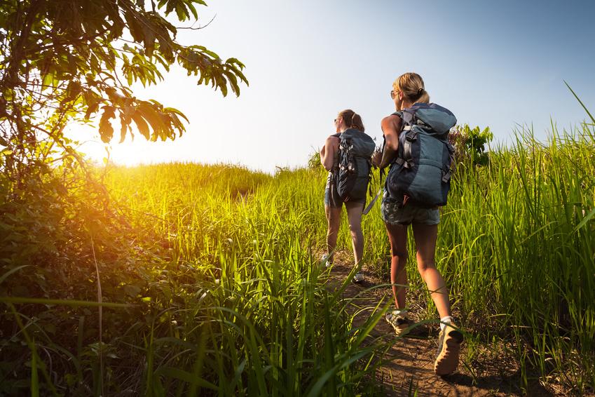 From Forest Trails to Ocean Waves: Diverse Family Adventures