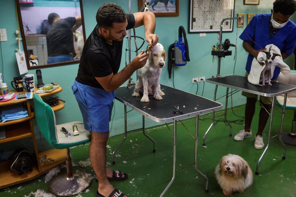 The Role of Social Media in Raising Awareness and Mobilizing Support