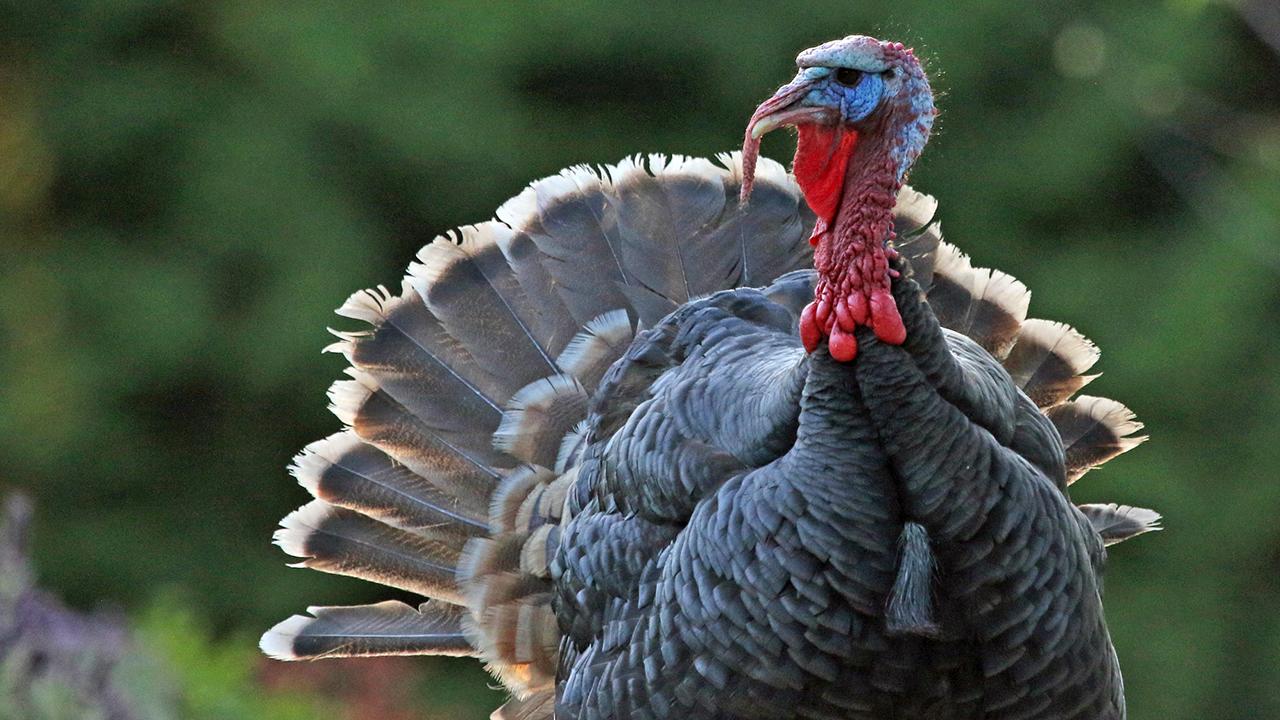 Preventative ⁤Measures for Future Seismic Safety: Recommendations for Builders and Regulators