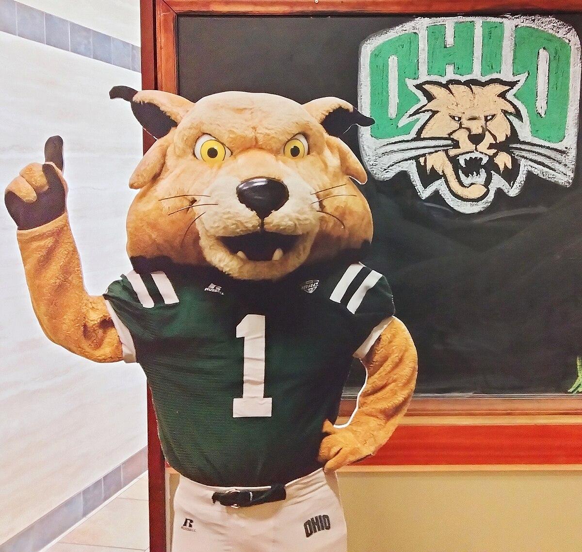 looking Ahead: Key Recommendations for Future Matchups