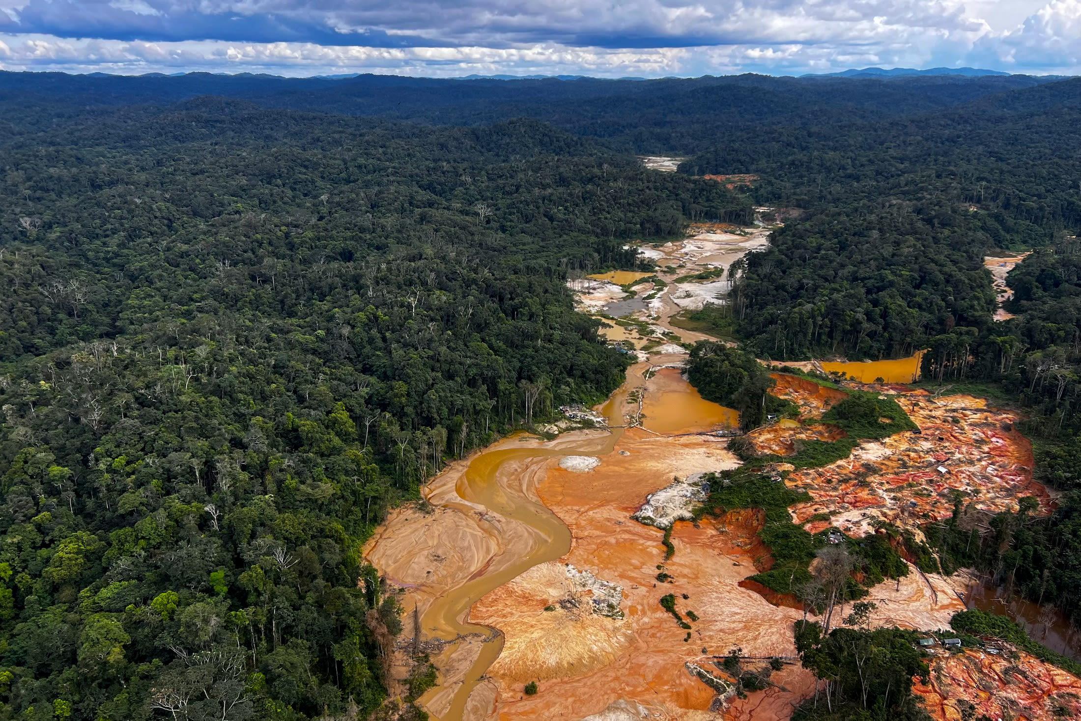 The Human Cost: How Mercury Poisoning Affects Communities